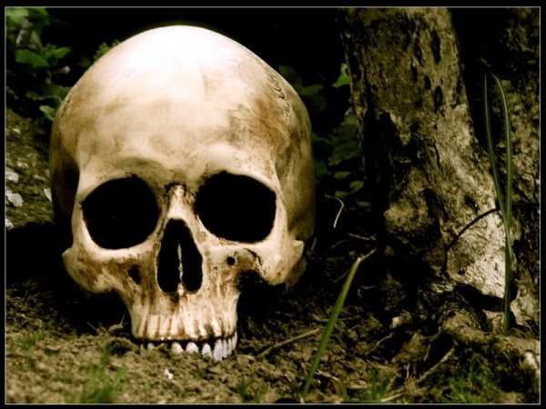 Прохожие обнаружили труп со следами инъекций в паховой области