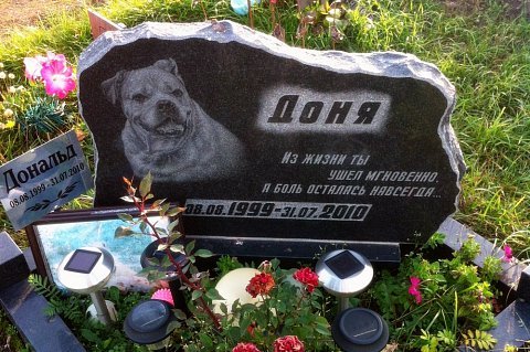 В Ейске появилось стихийное кладбище домашних животных