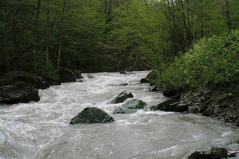 В Сочи джипперы утонули, переезжая горную реку