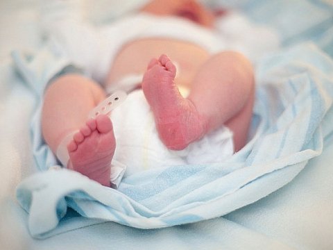 Полиция ищет мать, подкинувшую младенца на крыльцо кубанской больницы