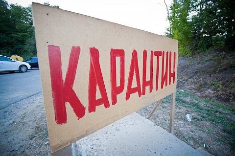 В детском лагере в Анапе произошло массовое заражение дерматитом