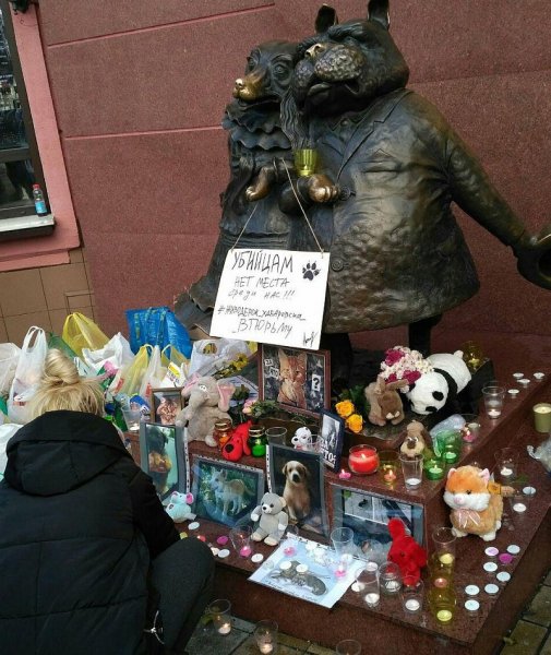 В Краснодаре у