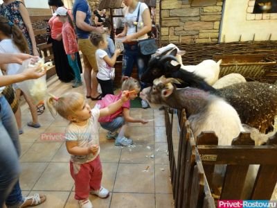 В России хотят запретить контактные зоопарки и передвижные дельфинарии