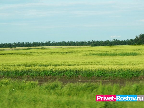 Жителям Краснодара рассказали, как расширить свой участок за счет пустующего рядом